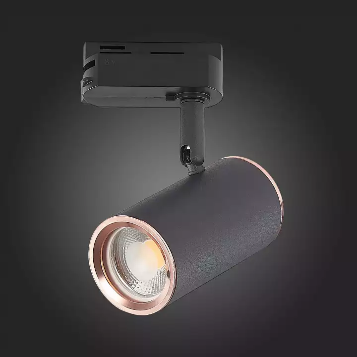 Светильник на штанге ST-Luce Cromi ST301.426.01 6_ST301.426.01.webp big
