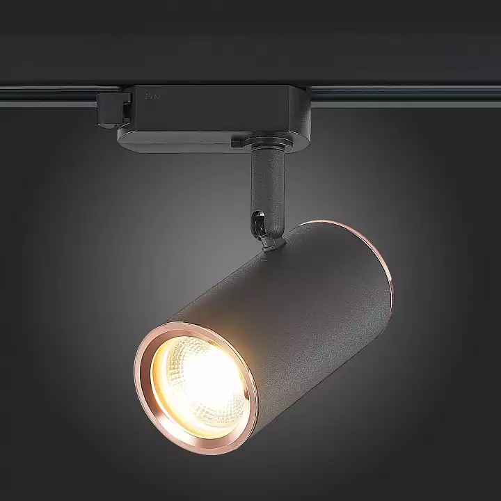 Светильник на штанге ST-Luce Cromi ST301.426.01 8_ST301.426.01.webp big