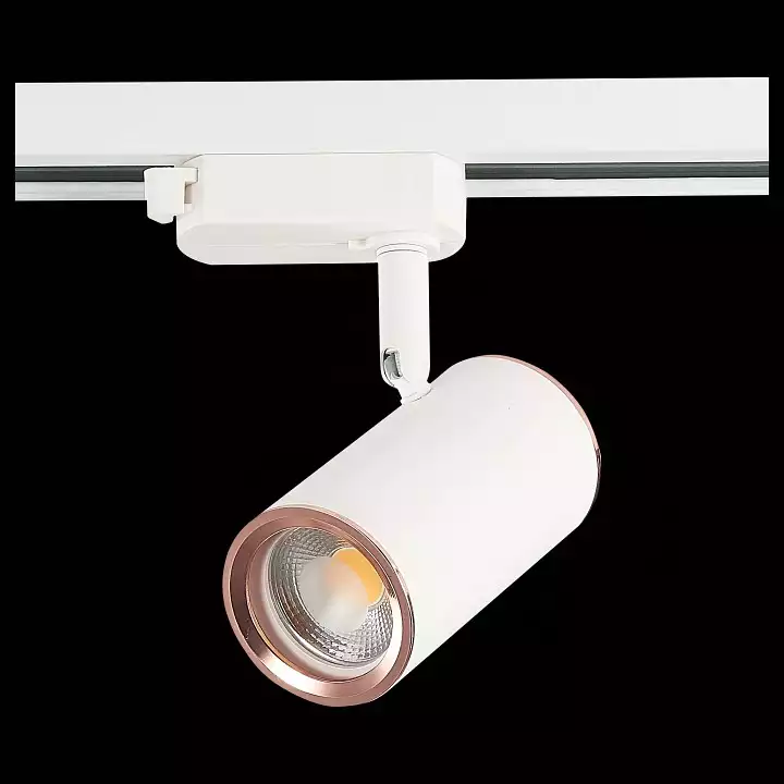 Светильник на штанге ST-Luce Cromi ST301.526.01 4_ST301.526.01.webp big