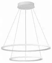 Подвесной светильник ST-Luce ST603 IN ST603.543.56 1_ST603.543.56.webp small