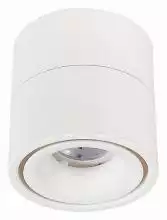 Светильник на штанге ST-Luce ST652 ST652.532.12