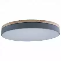Накладной светильник Loft it Axel 10001/36 Grey