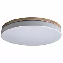 Накладной светильник Loft it Axel 10001/36 White