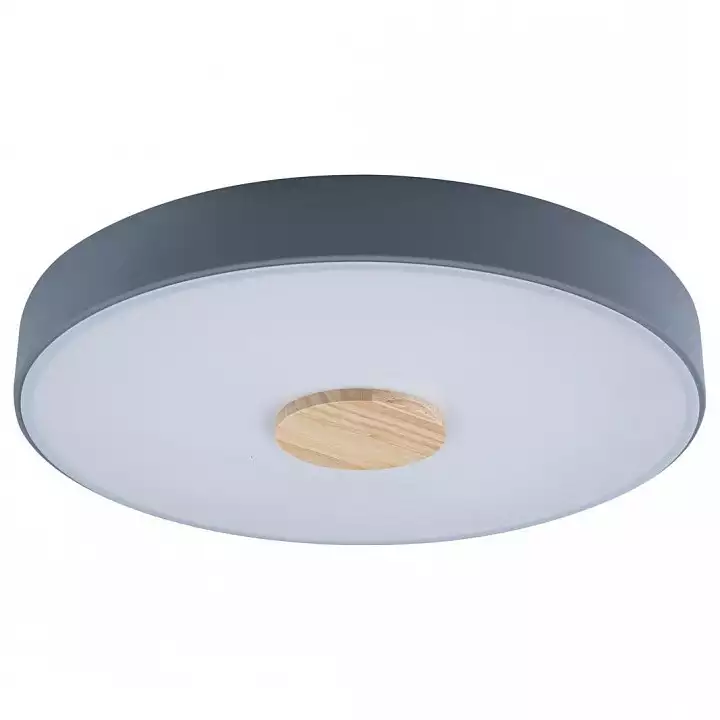 Накладной светильник Loft it Axel 2 10003/24 Grey 0_LF_10003_24_Grey.webp big