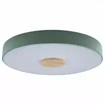 Накладной светильник Loft it Axel 2 10003/24 Green