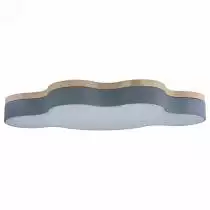 Накладной светильник Loft it Axel 4 10005/36 Grey