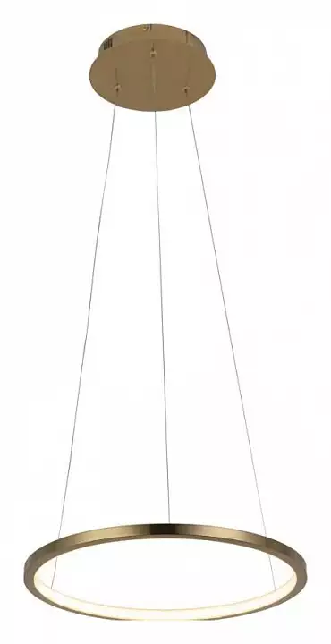 Подвесной светильник Loft it Ring 10014S 1_LF_10014S.webp big