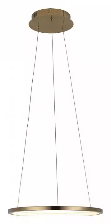 Подвесной светильник Loft it Ring 10014S 2_LF_10014S.webp big