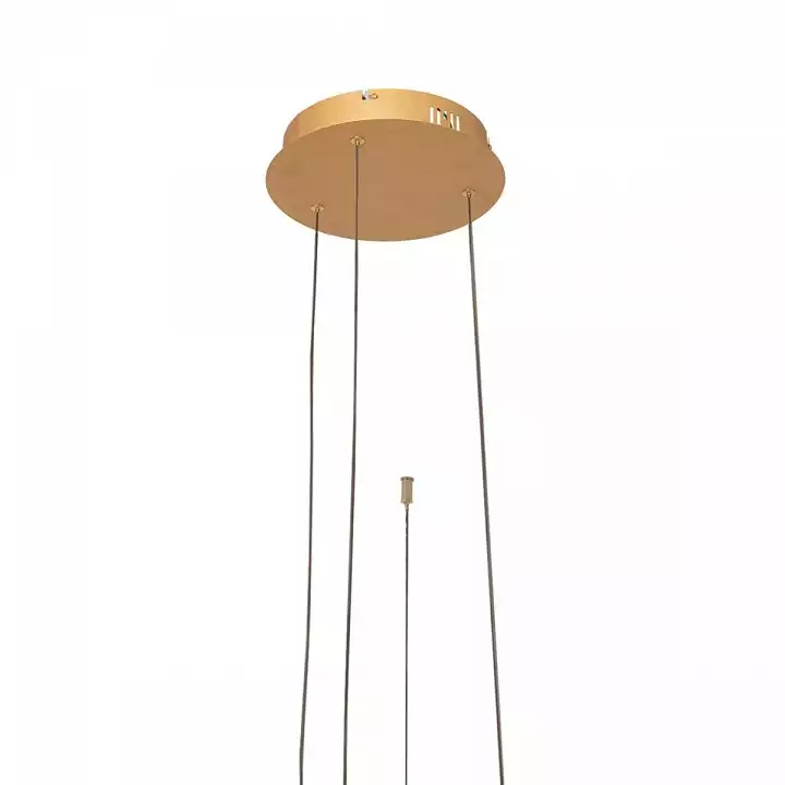 Подвесной светильник Loft it Ring 10017/3L 4_LF_10017_3L.webp big