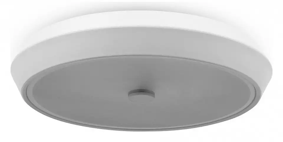 Накладной светильник Freya LED FR10012CL-L24W 0_MY_FR10012CL-L24W.webp big