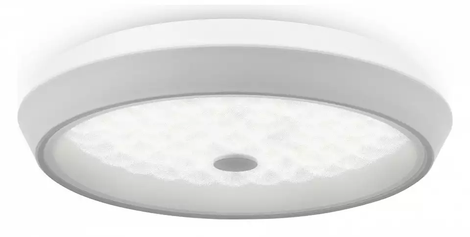 Накладной светильник Freya LED FR10012CL-L24W 1_MY_FR10012CL-L24W.webp big