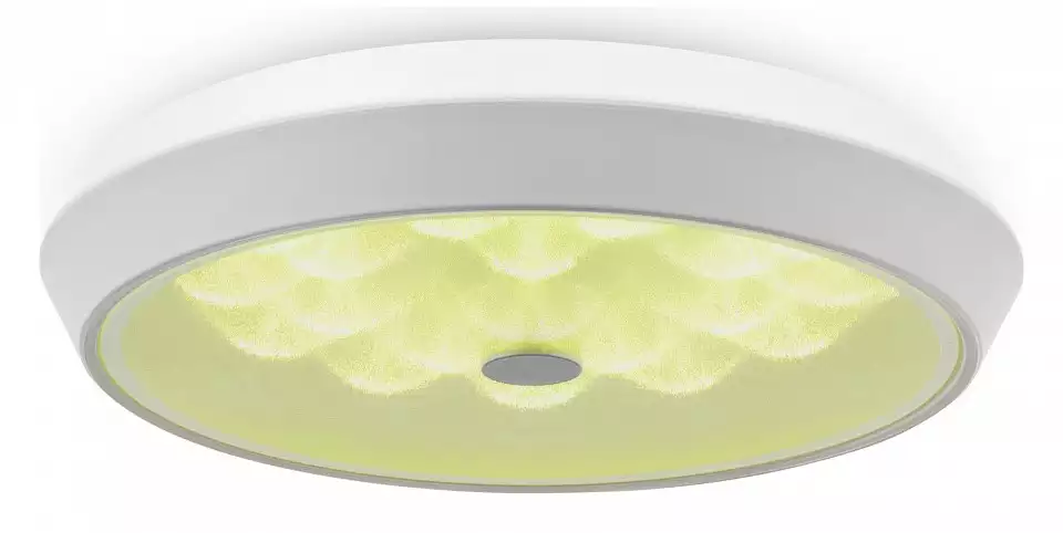 Накладной светильник Freya LED FR10012CL-L24W 2_MY_FR10012CL-L24W.webp big