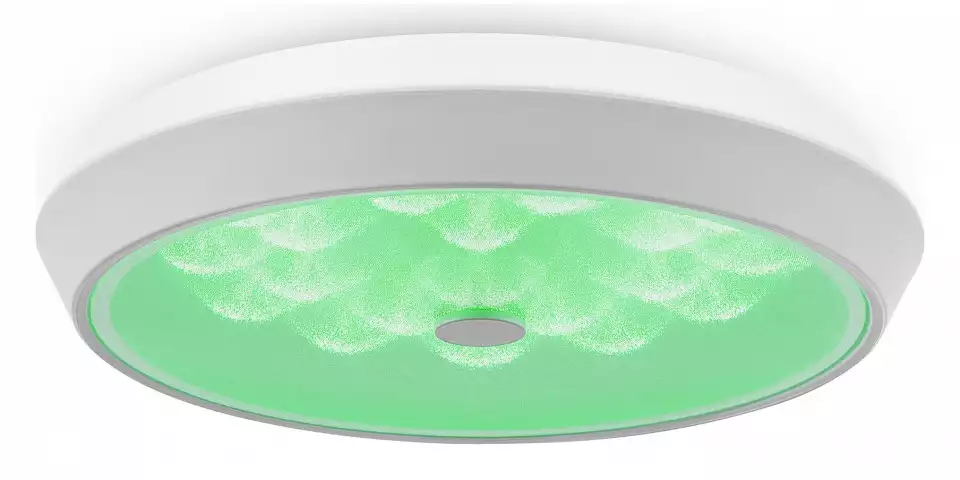 Накладной светильник Freya LED FR10012CL-L24W 3_MY_FR10012CL-L24W.webp big