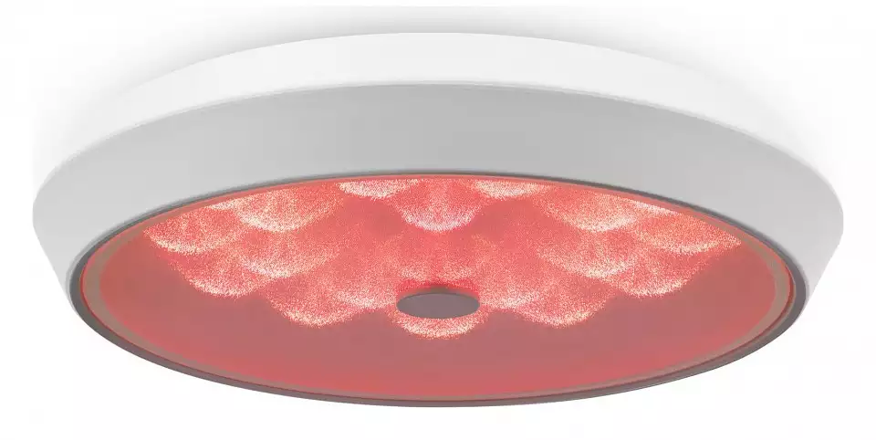 Накладной светильник Freya LED FR10012CL-L24W 6_MY_FR10012CL-L24W.webp big