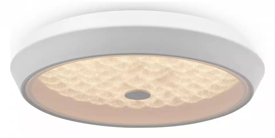 Накладной светильник Freya LED FR10012CL-L24W 7_MY_FR10012CL-L24W.webp big