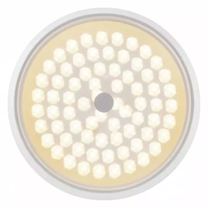 Накладной светильник Freya LED FR10012CL-L24W 8_MY_FR10012CL-L24W.webp big