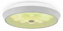Накладной светильник Freya LED FR10012CL-L24W 2_MY_FR10012CL-L24W.webp small
