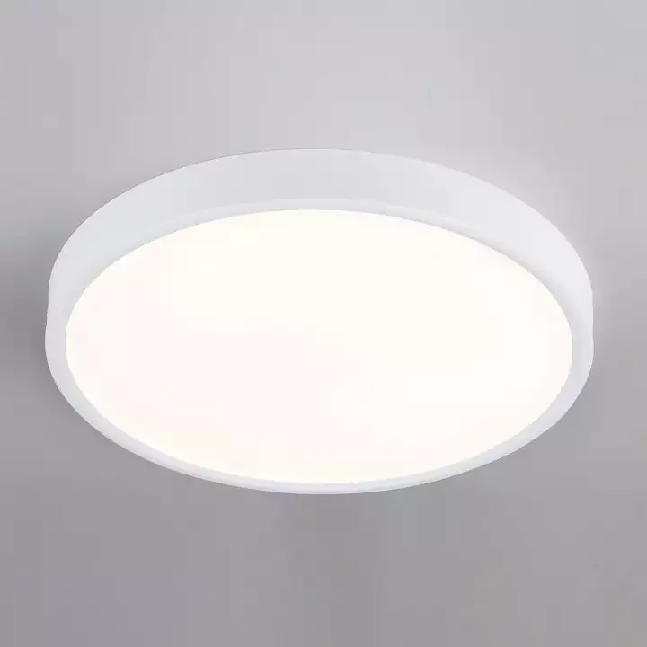 Накладной светильник Elektrostandard DLR034 a043016 0_ELK_a043016.webp big