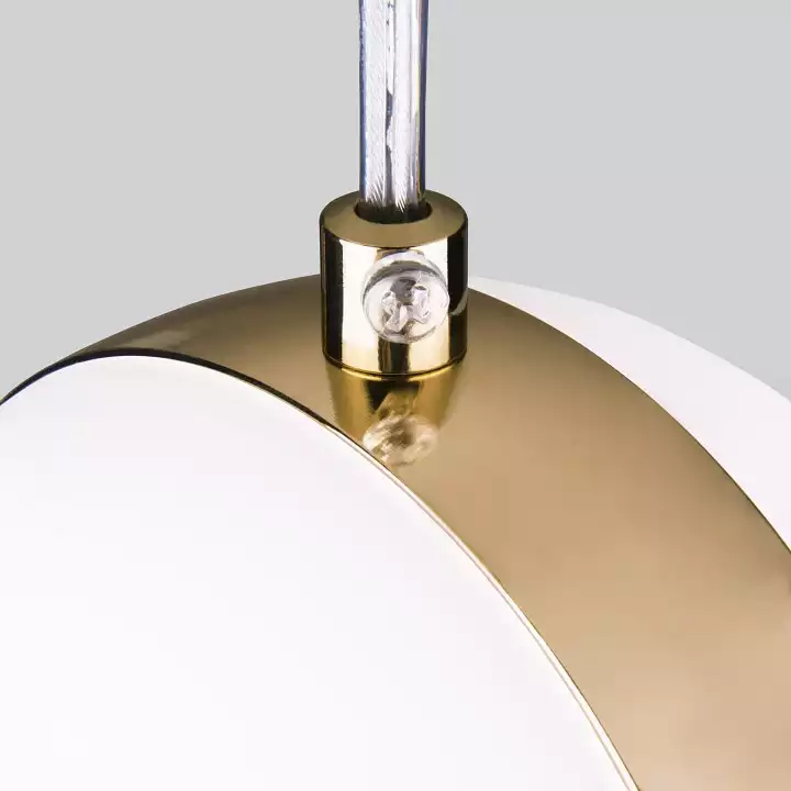 Подвесной светильник Elektrostandard DLN050 a047809 2_ELK_a047809.webp big