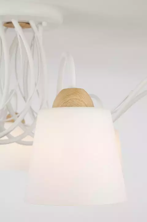 Потолочная люстра Eurosvet Betty 70062/8 белый 2_EV_81857.webp big