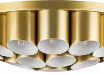 Потолочная люстра Lightstar Siena 720222 2_LS_720222.webp small