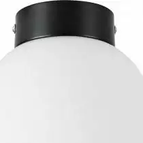 Накладной светильник Lightstar Globo 812017 2_LS_812017.webp small