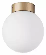 Накладной светильник Lightstar Globo 812013 0_LS_812013.webp small
