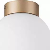Накладной светильник Lightstar Globo 812013 2_LS_812013.webp small
