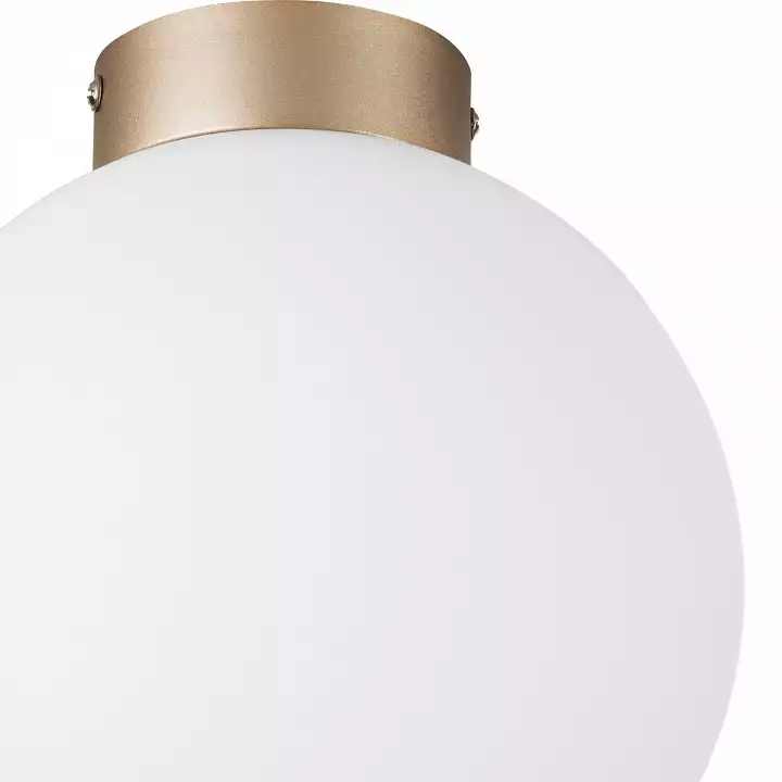 Накладной светильник Lightstar Globo 812023 2_LS_812023.webp big