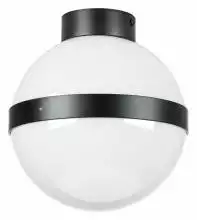 Накладной светильник Lightstar Globo 812117
