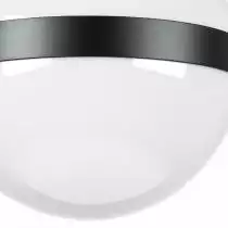 Накладной светильник Lightstar Globo 812117 2_LS_812117.webp small