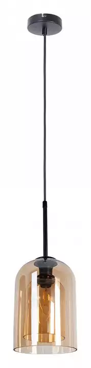 Подвесной светильник Arte Lamp Paio A7015SP-1BK 1_AR_A7015SP-1BK.webp big
