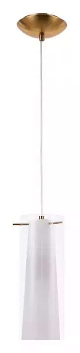 Arte lamp подвесной светильник Aries A8983SP-1PB 1_AR_A8983SP-1PB.webp big