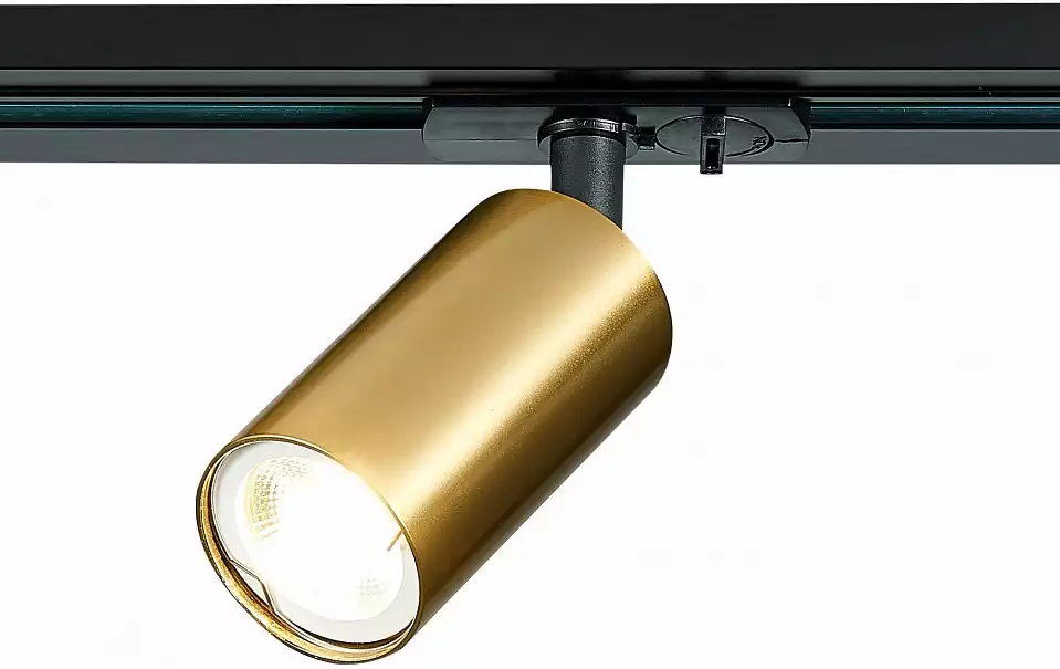 Светильник на штанге ST-Luce ST300 ST300.206.01 1_ST300.206.01.webp big