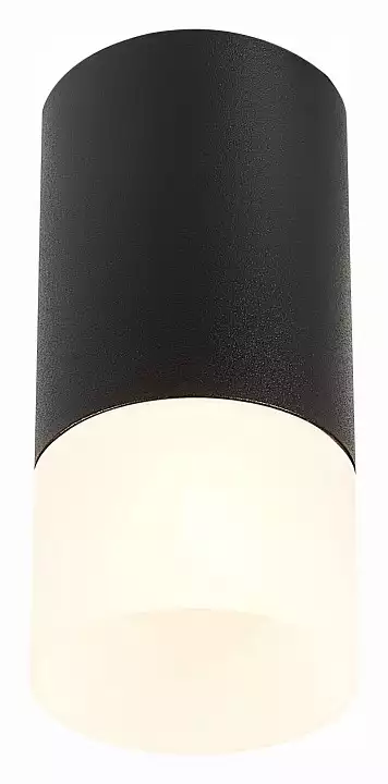 Накладной светильник ST-Luce ST100 ST100.412.01 1_ST100.412.01.webp big
