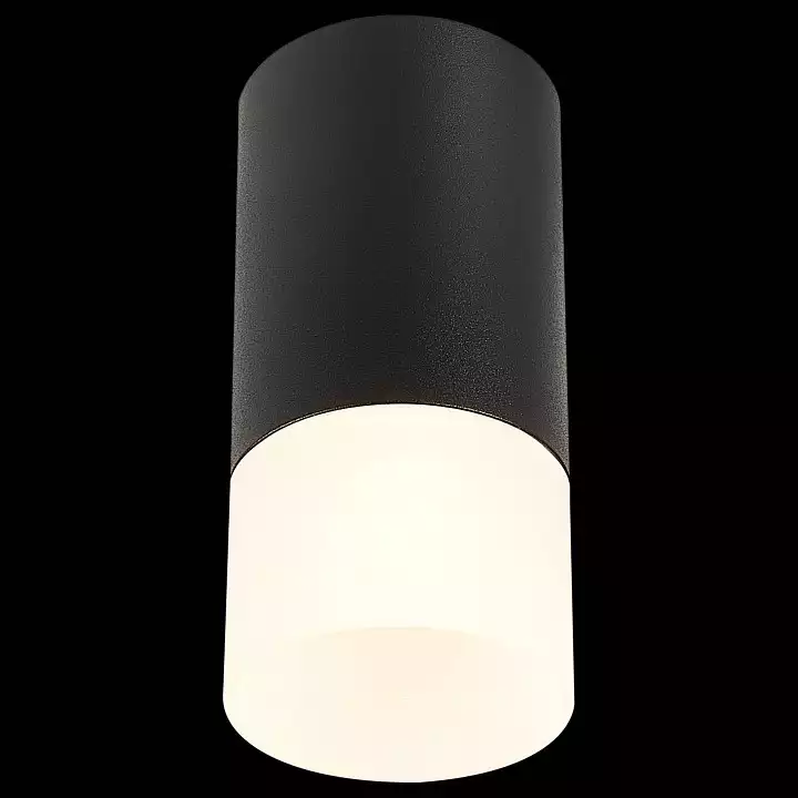 Накладной светильник ST-Luce ST100 ST100.412.01 2_ST100.412.01.webp big