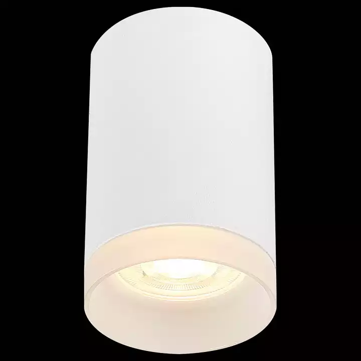 Накладной светильник ST-Luce ST100 ST100.502.01 2_ST100.502.01.webp big
