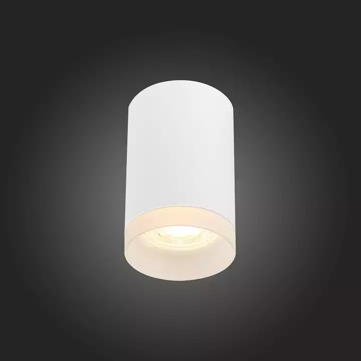 Накладной светильник ST-Luce ST100 ST100.502.01 3_ST100.502.01.webp big