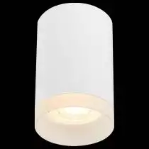 Накладной светильник ST-Luce ST100 ST100.502.01 2_ST100.502.01.webp small
