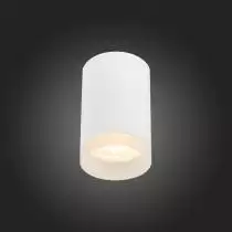 Накладной светильник ST-Luce ST100 ST100.502.01 3_ST100.502.01.webp small