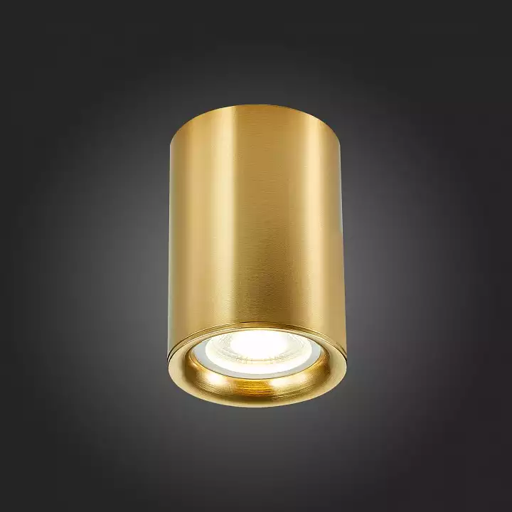 Накладной светильник ST-Luce ST114 ST114.207.01 4_ST114.207.01.webp big