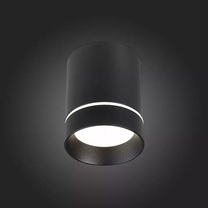 Накладной светильник ST-Luce ST115 ST115.432.12 3_ST115.432.12.webp big