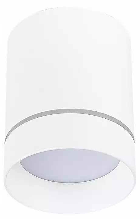 Накладной светильник ST-Luce ST115 ST115.542.12 0_ST115.542.12.webp big