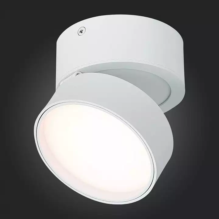 Накладной светильник ST-Luce ST651 ST651.532.14 4_ST651.532.14.webp big