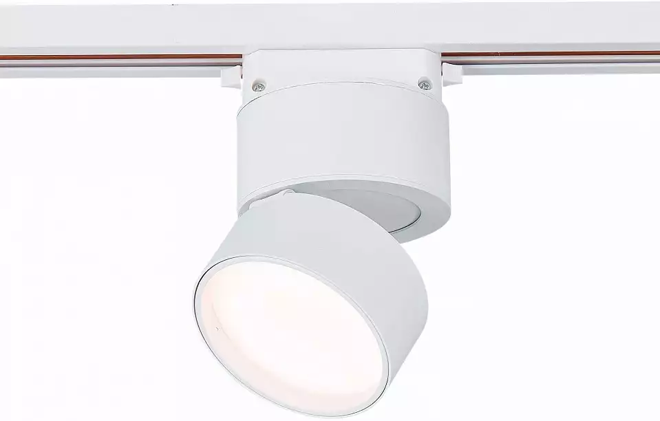 Светильник на штанге ST-Luce ST651 ST651.536.09 1_ST651.536.09.webp big
