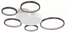 Потолочная люстра Lumion Norbert 5254/99CL