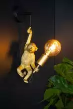 Бра Lucide Extravaganza Chimp 10202/01/30 3_LCD_10202_01_30.webp small
