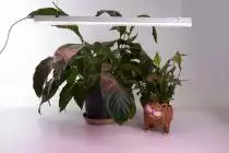 Светильник для растений Feron AL7002 41355 5_FE_41355.webp small