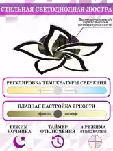 Потолочная люстра Natali Kovaltseva Innovation Style INNOVATION STYLE 83002 BLACK 4_KVL_43533.webp small