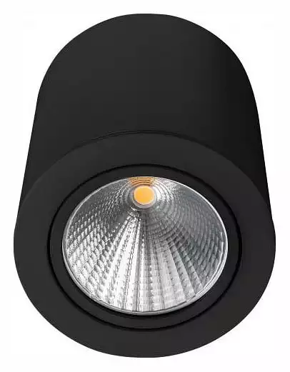 Накладной светильник Arlight SP-FOCUS-R120-16W Warm3000 (BK, 24 deg, 230V) 029533 0_ARLT_029533.webp big